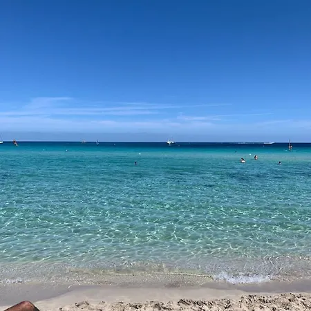 Daziarosetta * Палермо